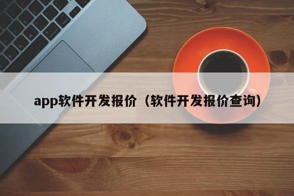 app软件开发报价（软件开发报价查询）