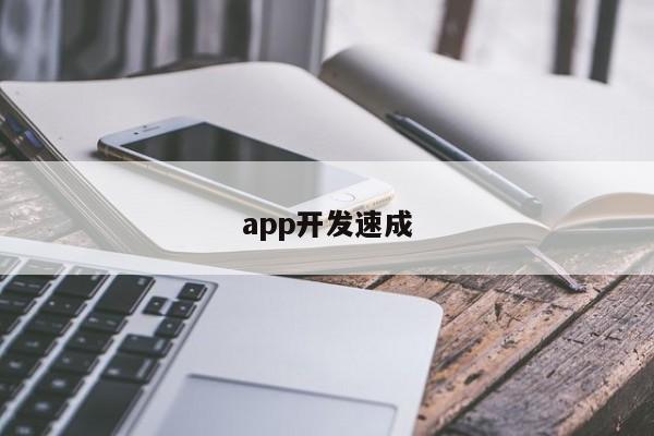 app开发速成