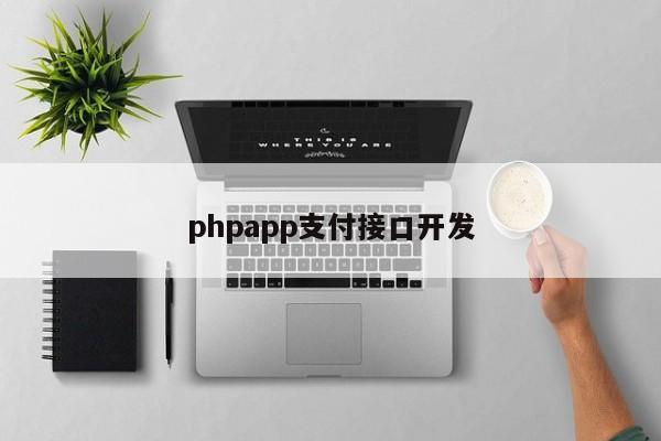 phpapp支付接口开发