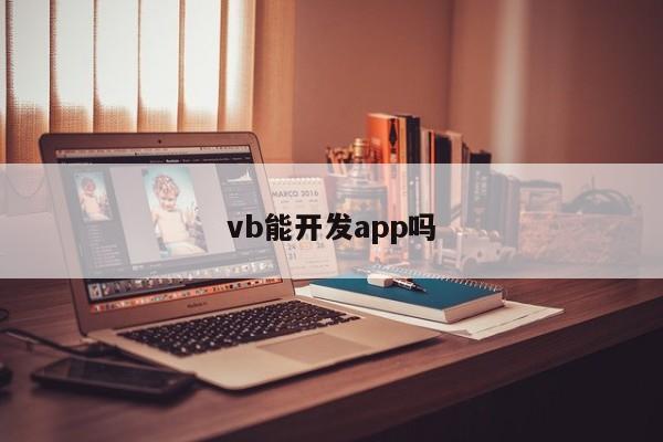 vb能开发app吗