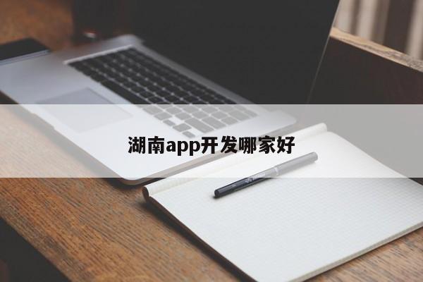 湖南app开发哪家好