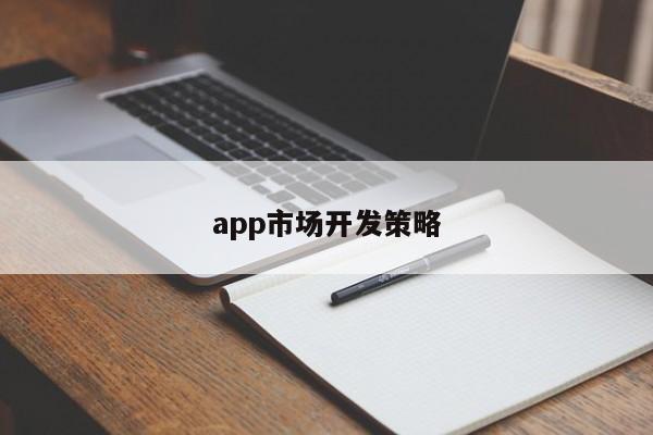 app市场开发策略