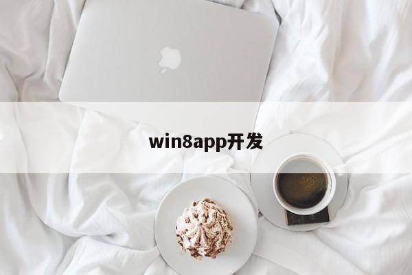 win8app开发