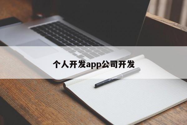 个人开发app公司开发