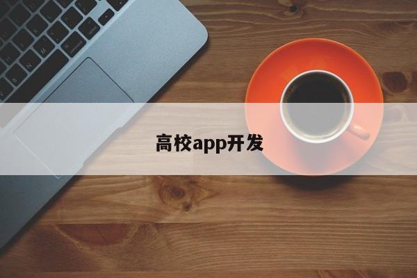 高校app开发