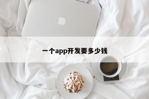 一个app开发要多少钱