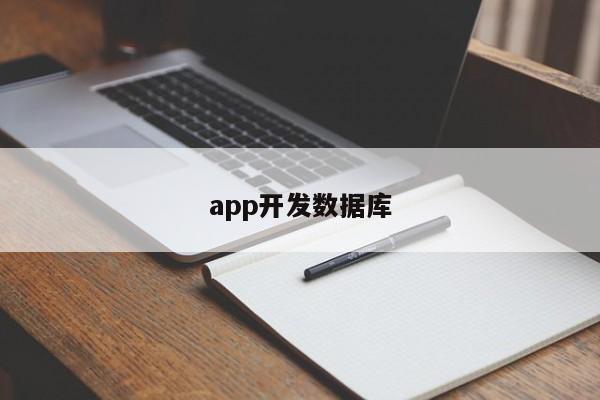 app开发数据库