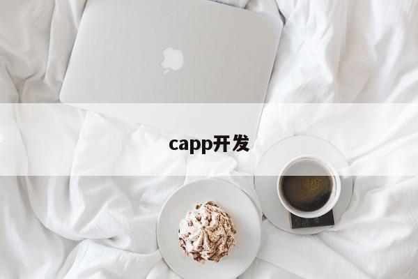 capp开发