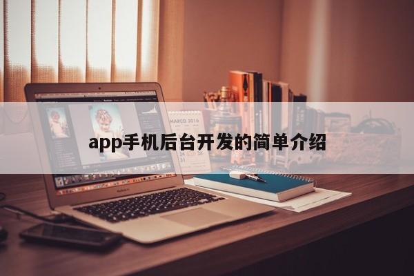 app手机后台开发的简单介绍