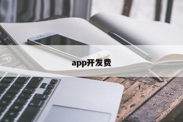 app开发费