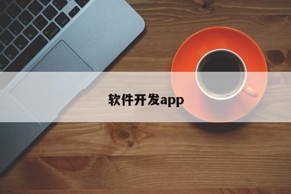 软件开发app