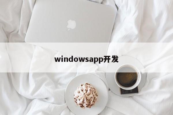 windowsapp开发