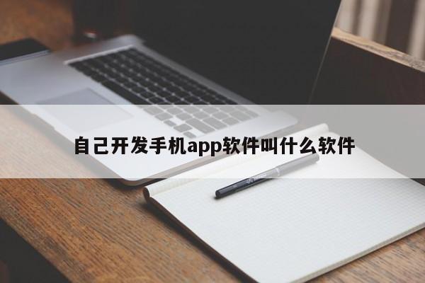 自己开发手机app软件叫什么软件