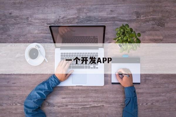 一个开发APP