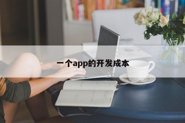 一个app的开发成本