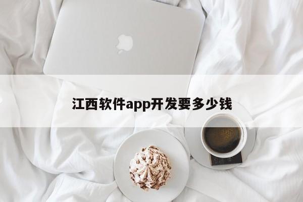 江西软件app开发要多少钱