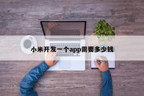 小米开发一个app需要多少钱