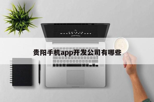 贵阳手机app开发公司有哪些