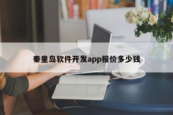 秦皇岛软件开发app报价多少钱