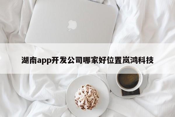 湖南app开发公司哪家好位置岚鸿科技