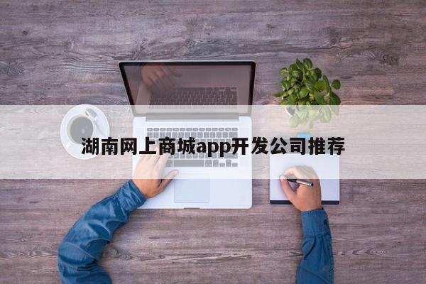 湖南网上商城app开发公司推荐