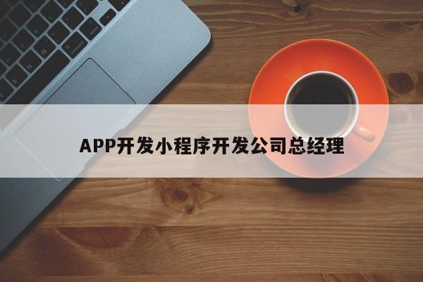 APP开发小程序开发公司总经理