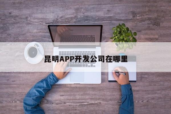 昆明APP开发公司在哪里