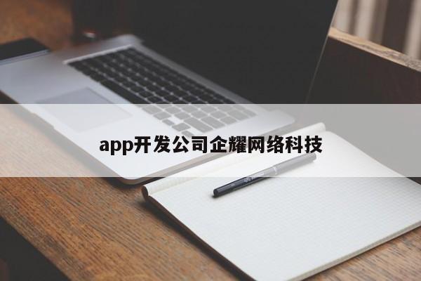 app开发公司企耀网络科技