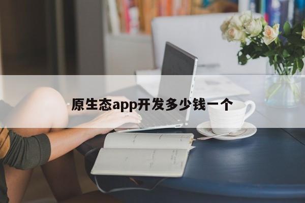 原生态app开发多少钱一个