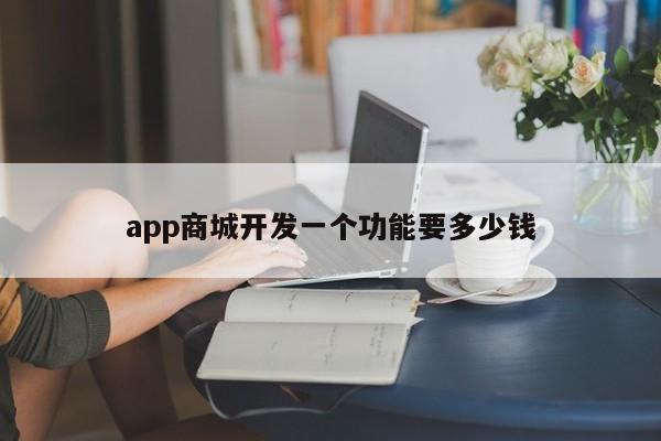 app商城开发一个功能要多少钱