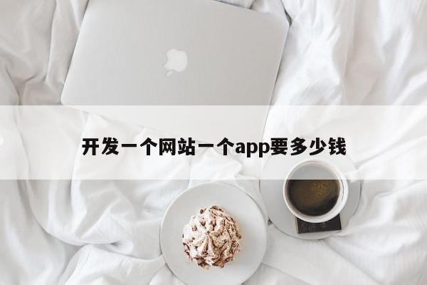 开发一个网站一个app要多少钱