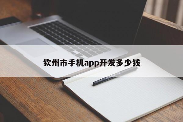 钦州市手机app开发多少钱