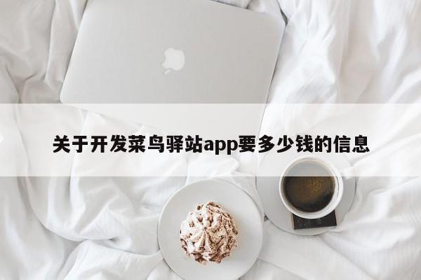 关于开发菜鸟驿站app要多少钱的信息