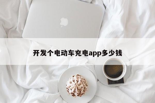 开发个电动车充电app多少钱