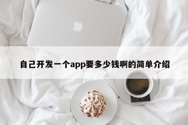 自己开发一个app要多少钱啊的简单介绍