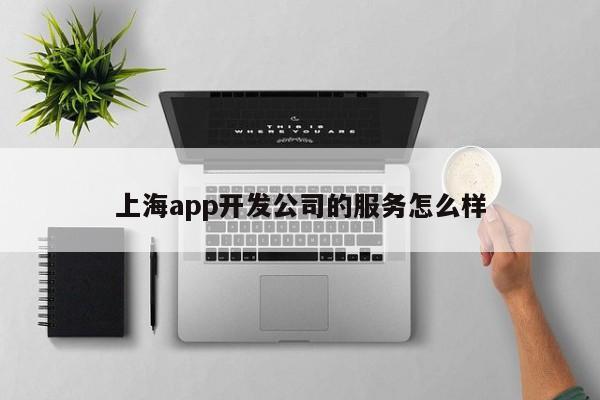 上海app开发公司的服务怎么样