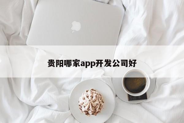 贵阳哪家app开发公司好