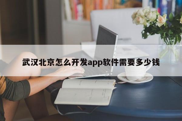 武汉北京怎么开发app软件需要多少钱