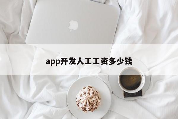 app开发人工工资多少钱