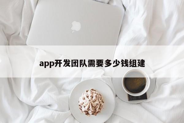 app开发团队需要多少钱组建