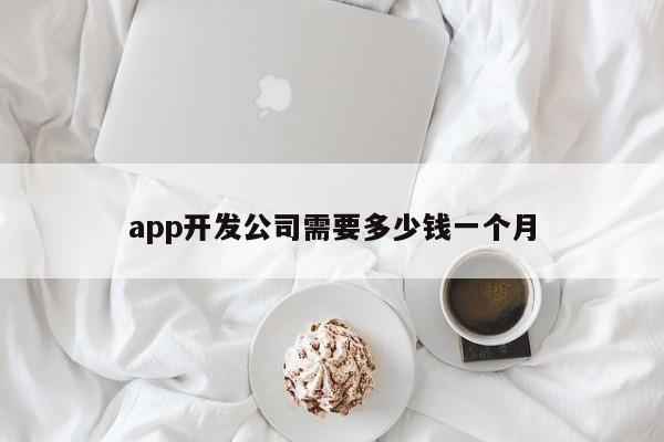 app开发公司需要多少钱一个月