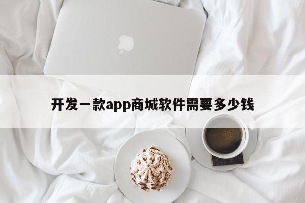 开发一款app商城软件需要多少钱