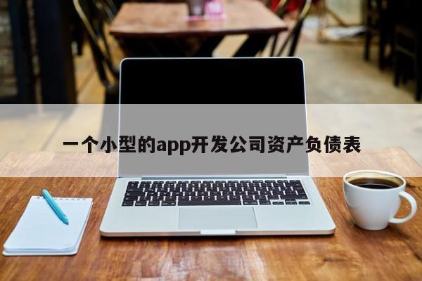 一个小型的app开发公司资产负债表