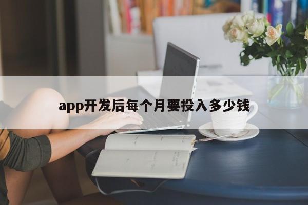 app开发后每个月要投入多少钱