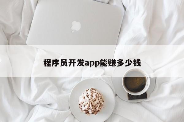 程序员开发app能赚多少钱