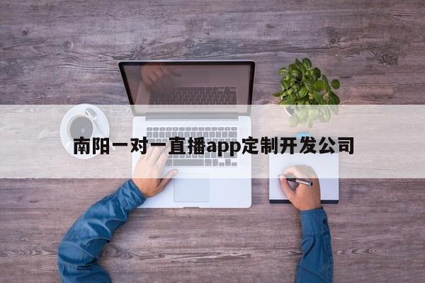 南阳一对一直播app定制开发公司