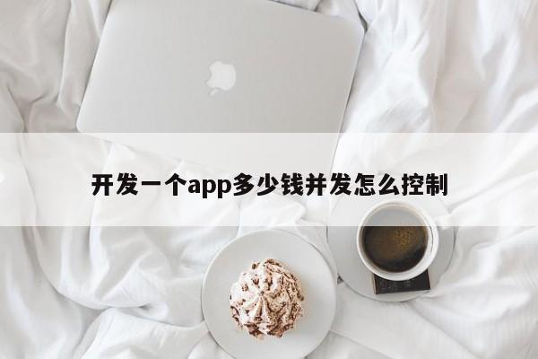 开发一个app多少钱并发怎么控制