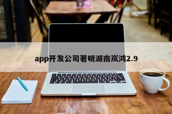 app开发公司著明湖南岚鸿2.9