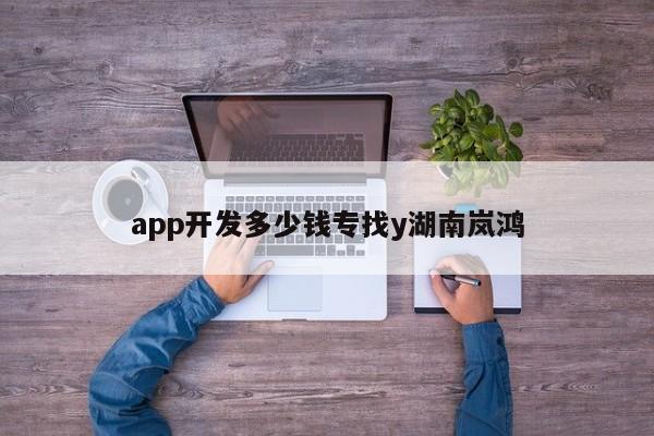 app开发多少钱专找y湖南岚鸿