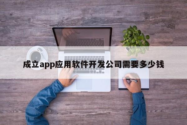 成立app应用软件开发公司需要多少钱